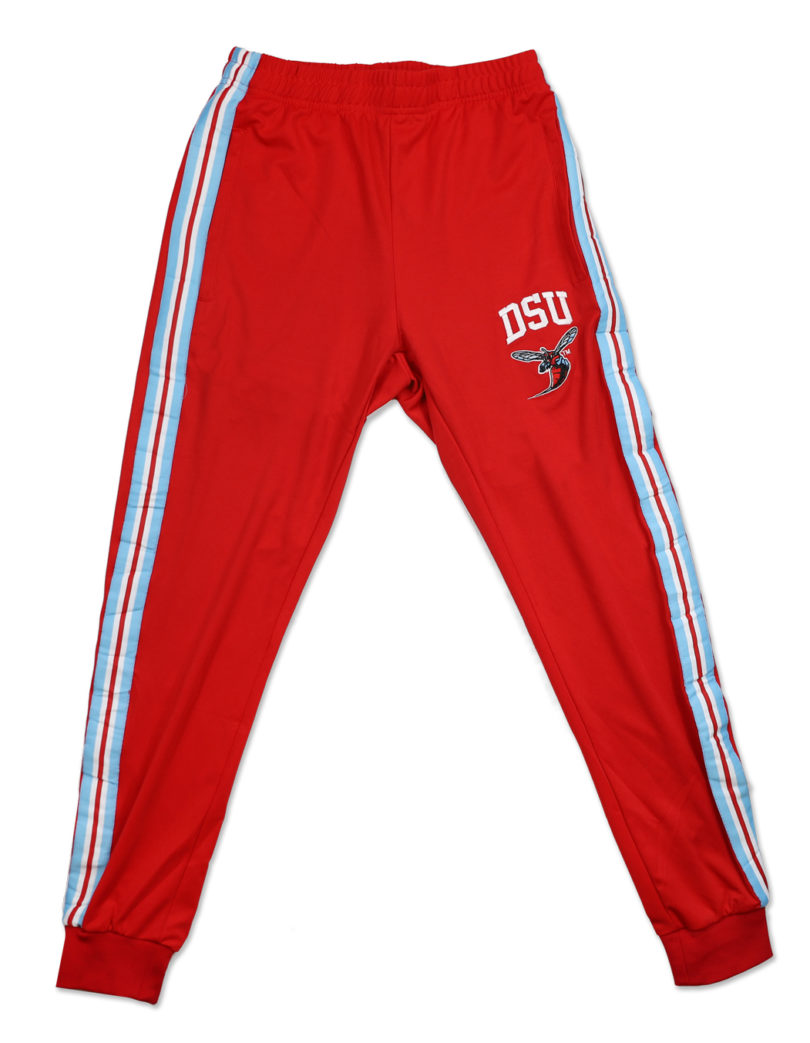 DELAWARE STATE JOGGING PANT - Image 3